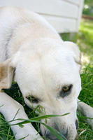 IMG_9965a
