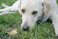 IMG_9979a