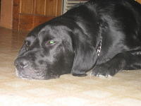 Ebony. 8/27/05