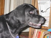 Ebony. 8/27/05