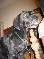 Ebony. 8/27/05