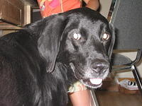 Ebony. 8/27/05